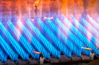 Ballyreagh gas fired boilers